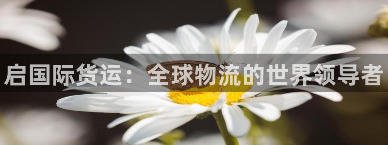 尊龙凯时的最新消息：启国际货运：全球物流的世界领导者