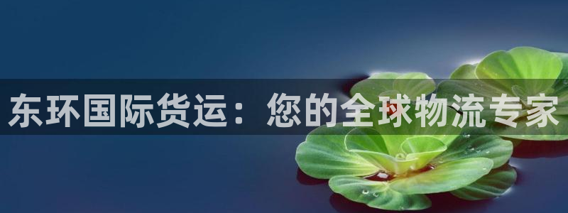 尊龙官方网站是真的吗：东环国际货运：您的全球物流专家