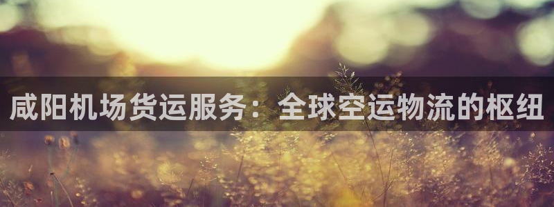 尊龙负面新闻：咸阳机场货运服务：全球空运物流的枢纽