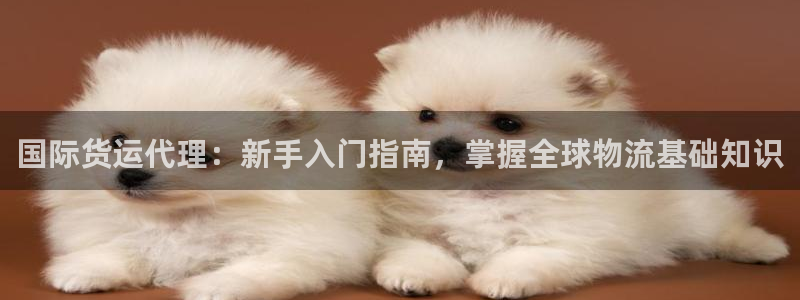 尊龙人生就是博一下下：国际货运代理：新手入门指南，掌握全