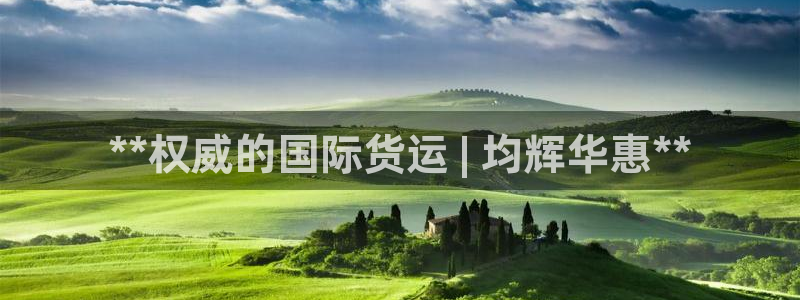 尊龙实业有限公司属于国企吗：**权威的国际货运 | 均辉