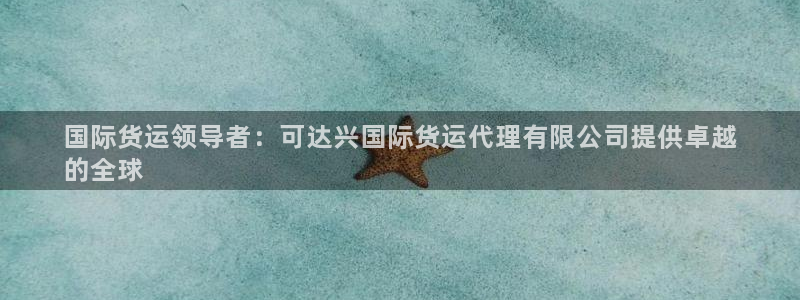 尊龙平台有谁玩过：国际货运领导者：可达兴国际货运代理有限