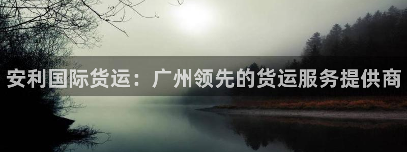 尊龙凯时游戏厅：安利国际货运：广州领先的货运服务提供商