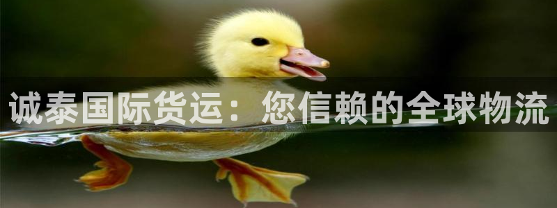 尊龙凯时网站赌愽是真的吗：诚泰国际货运：您信赖的全球物流