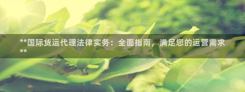 尊龙凯时提款一直审核中：**国际货运代理法律实务：全面指