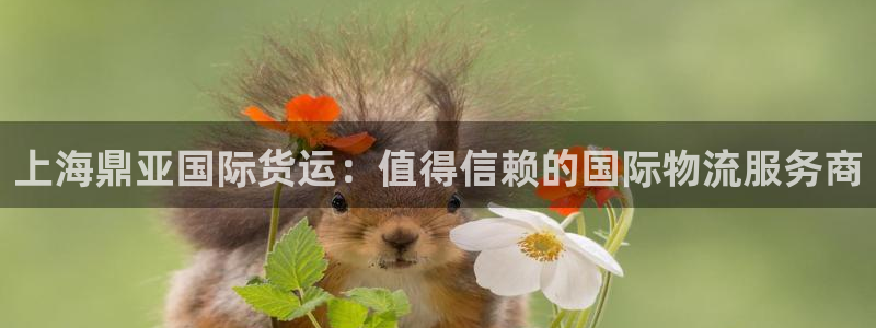 尊龙官网/首选kpm：上海鼎亚国际货运：值得信赖的国际物