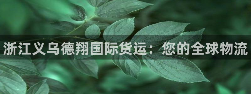 尊龙凯时 人生就是搏客服：浙江义乌德翔国际货运：您的全球