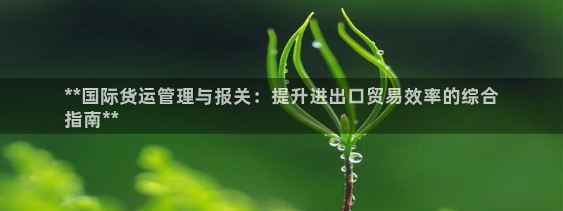 尊龙人生就是博AG旗舰厅：**国际货运管理与报关：提升进