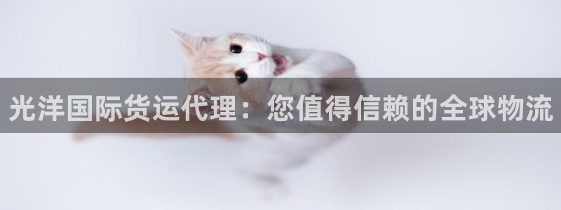 尊龙人生就是博电脑版：光洋国际货运代理：您值得信赖的全球