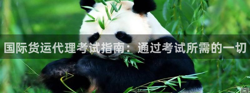 尊龙凯时人生就是搏!平台：国际货运代理考试指南：通过考试