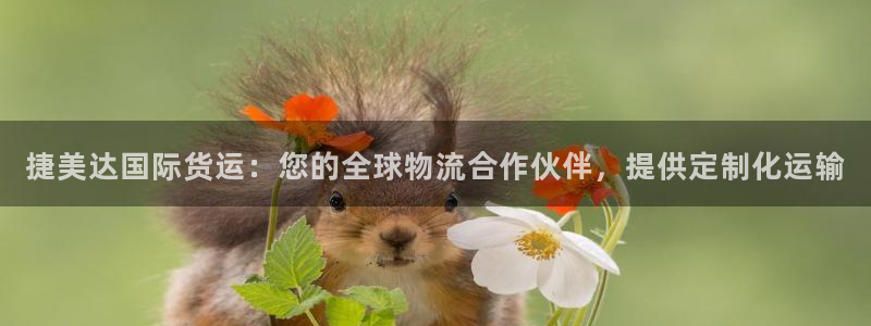 z6尊龙凯时集团：捷美达国际货运：您的全球物流合作伙伴，