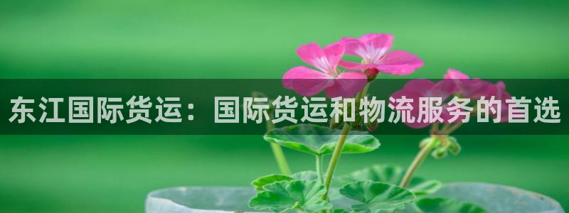 尊龙凯时平台有没有不到账的：东江国际货运：国际货运和物流