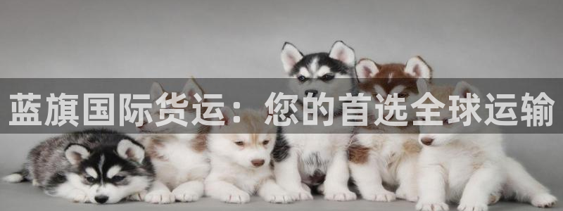 尊龙凯时网站登录：蓝旗国际货运：您的首选全球运输