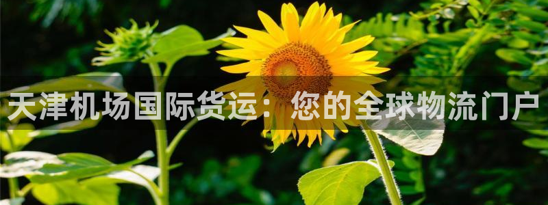 尊龙凯时电竞：天津机场国际货运：您的全球物流门户