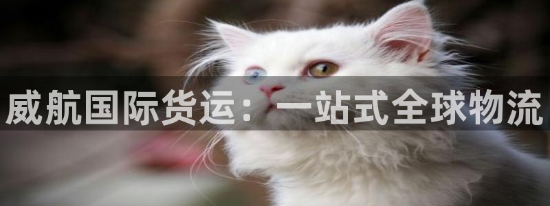 尊龙凯时人生就博：威航国际货运：一站式全球物流