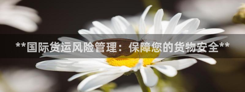 尊龙人生就是博网站：**国际货运风险管理：保障您的货物安