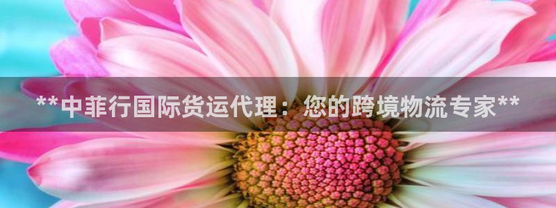 尊龙,人生就是搏：**中菲行国际货运代理：您的跨境物流专
