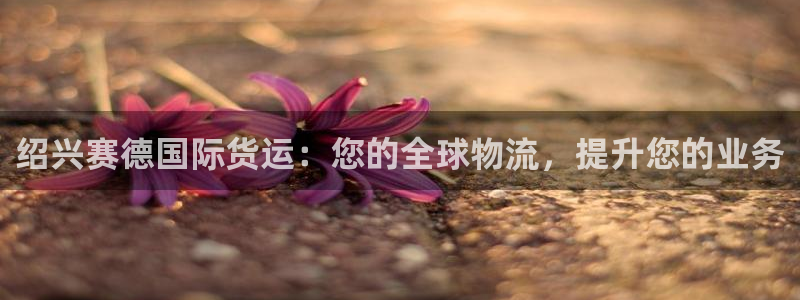 尊龙2016：绍兴赛德国际货运：您的全球物流，提升您的业