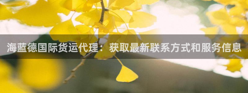 尊龙人生就是博旧版：海蓝德国际货运代理：获取最新联系方式