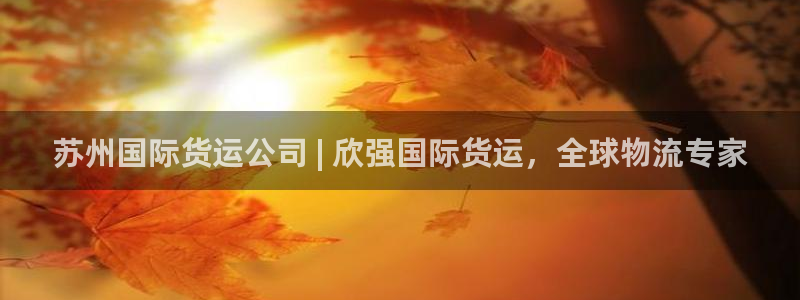 尊龙官网在哪里：苏州国际货运公司 | 欣强国际货运，全球