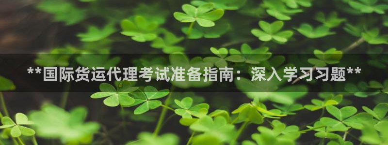 尊龙凯时和九游会哪个平台好一点：**国际货运代理考试准备