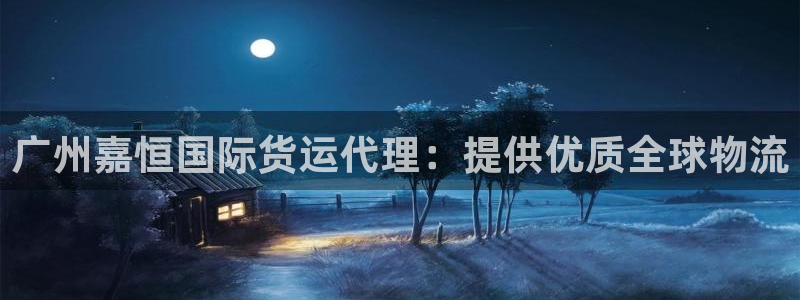 尊龙 6：广州嘉恒国际货运代理：提供优质全球物流