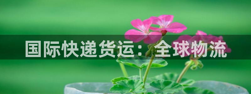 尊龙人生就是博一下首页：国际快递货运：全球物流