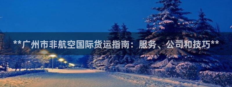 尊龙凯时网站赌愽是真的吗：**广州市非航空国际货运指南：