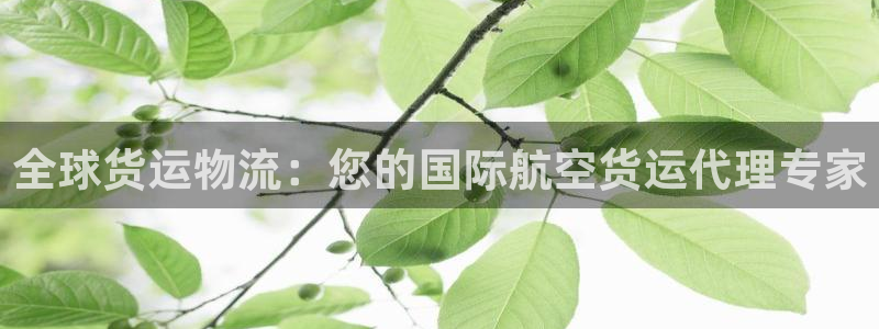 尊龙凯时代理官网入口：全球货运物流：您的国际航空货运代理