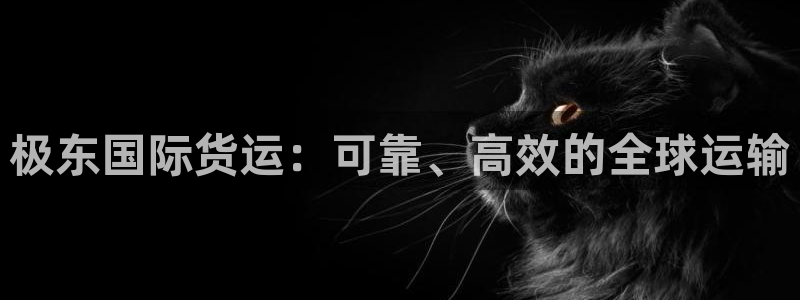 尊龙手机版下载：极东国际货运：可靠、高效的全球运输