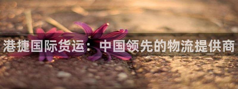 尊龙凯时和九游会哪个平台好一点：港捷国际货运：中国领先的