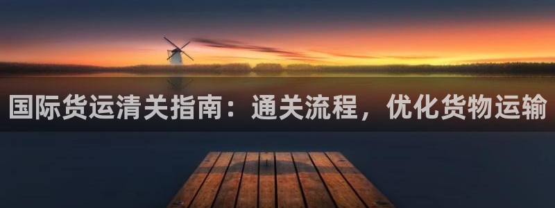 d88尊龙手机客户端下载：国际货运清关指南：通关流程，优