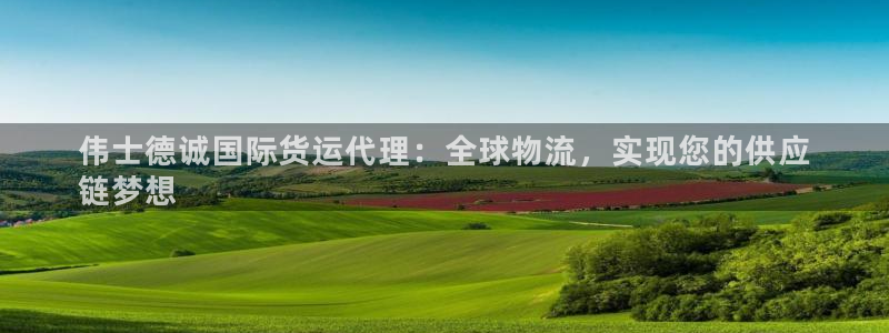 尊龙凯时人生就是搏首页：伟士德诚国际货运代理：全球物流，