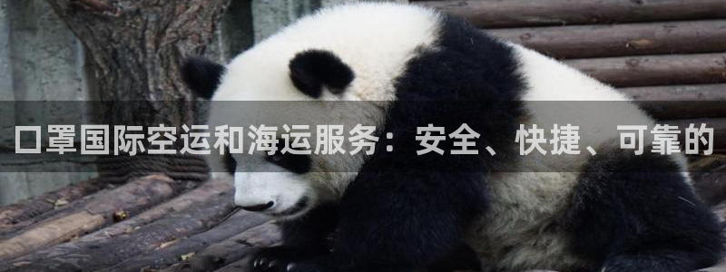 尊龙官方平台是正品吗：口罩国际空运和海运服务：安全、快捷
