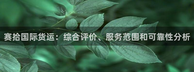 尊龙凯时麻将胡了：赛拾国际货运：综合评价、服务范围和可靠