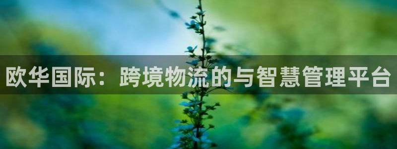 尊龙官网免费下载
