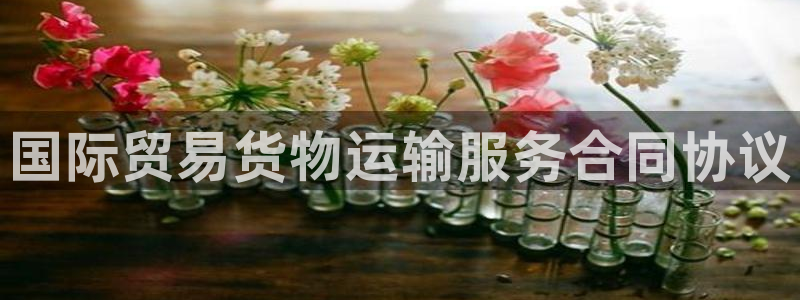 尊龙百度贴吧