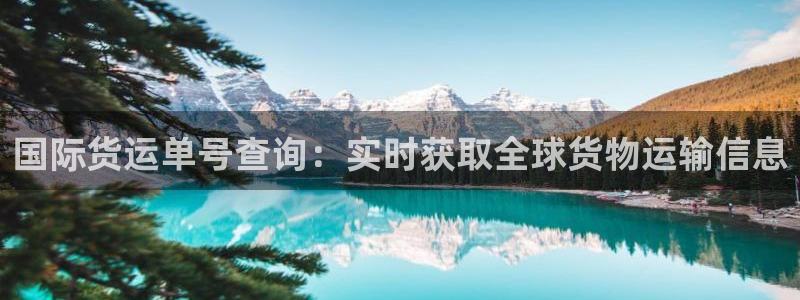 尊龙手机版下载