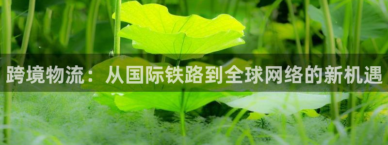 尊龙人生就是搏