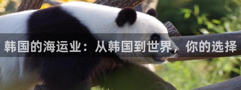 ag尊龙凯时俱乐部