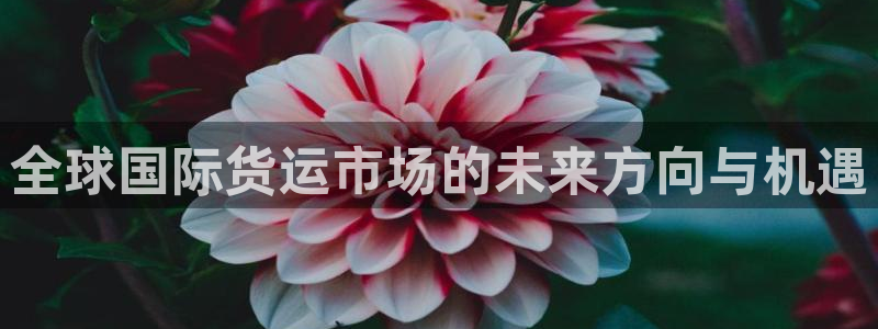 尊龙新版app