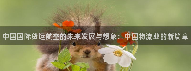 尊龙网站人生就是博