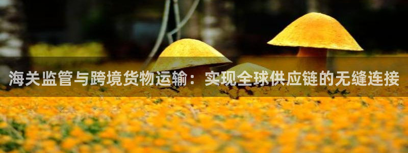 尊龙凯时城娱乐