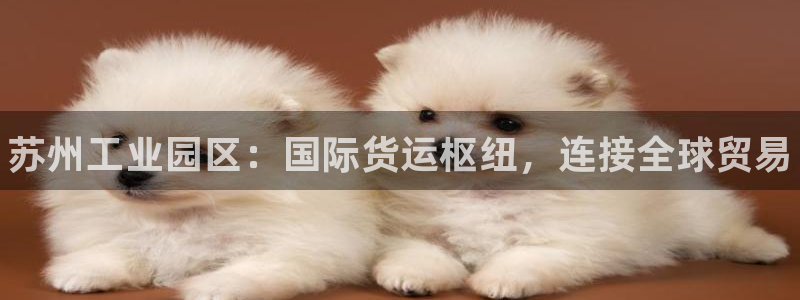尊龙AG旗舰厅官网：苏州工业园区：国际货运枢纽，连接全球