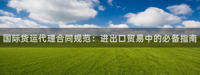 尊龙实业：国际货运代理合同规范：进出口贸易中的必备指南