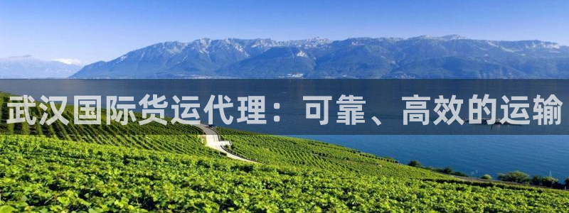 尊龙凯时开发：武汉国际货运代理：可靠、高效的运输