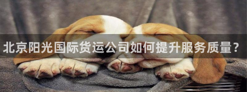 尊龙人生就是博登录准认来就送38