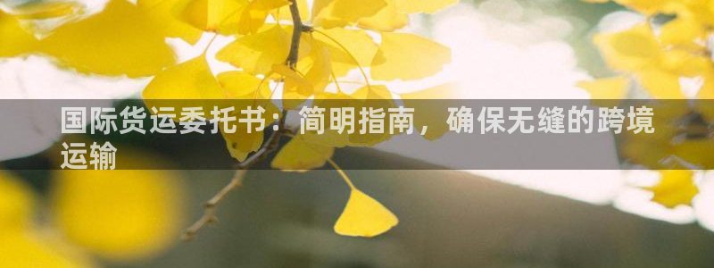 尊龙凯时网站首页手机登录：国际货运委托书：简明指南，确保