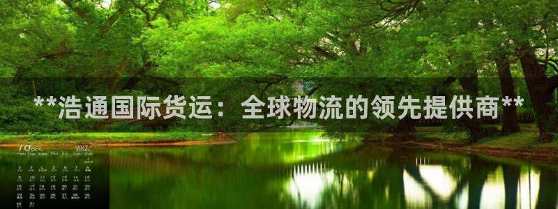 尊龙凯时新闻：**浩通国际货运：全球物流的领先提供商**