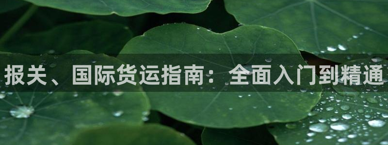 尊龙凯时提款一直审核中：报关、国际货运指南：全面入门到精